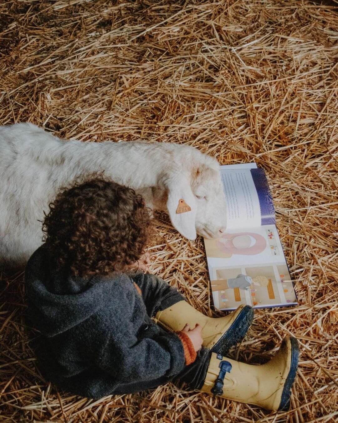Entwickle eine starke islamische Identität bei deinem Kind mit islamischen Büchern