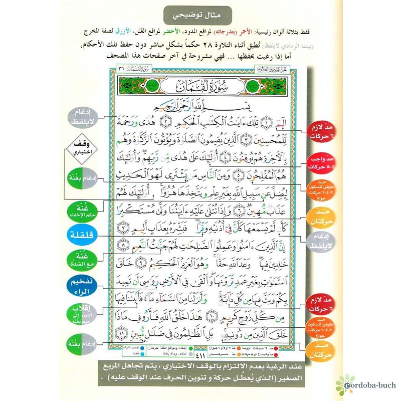 Quran Tajweed - nur Arabisch, Hafs (24x17cm)
