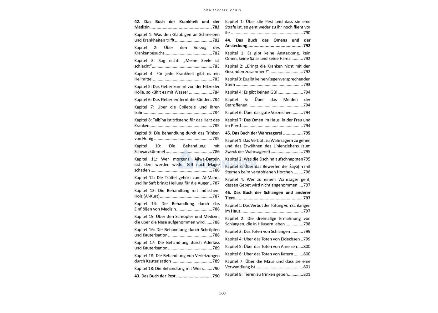 Sahih Muslim - von Imam Al-Hafiz Al-Mundiryy (Band 2)