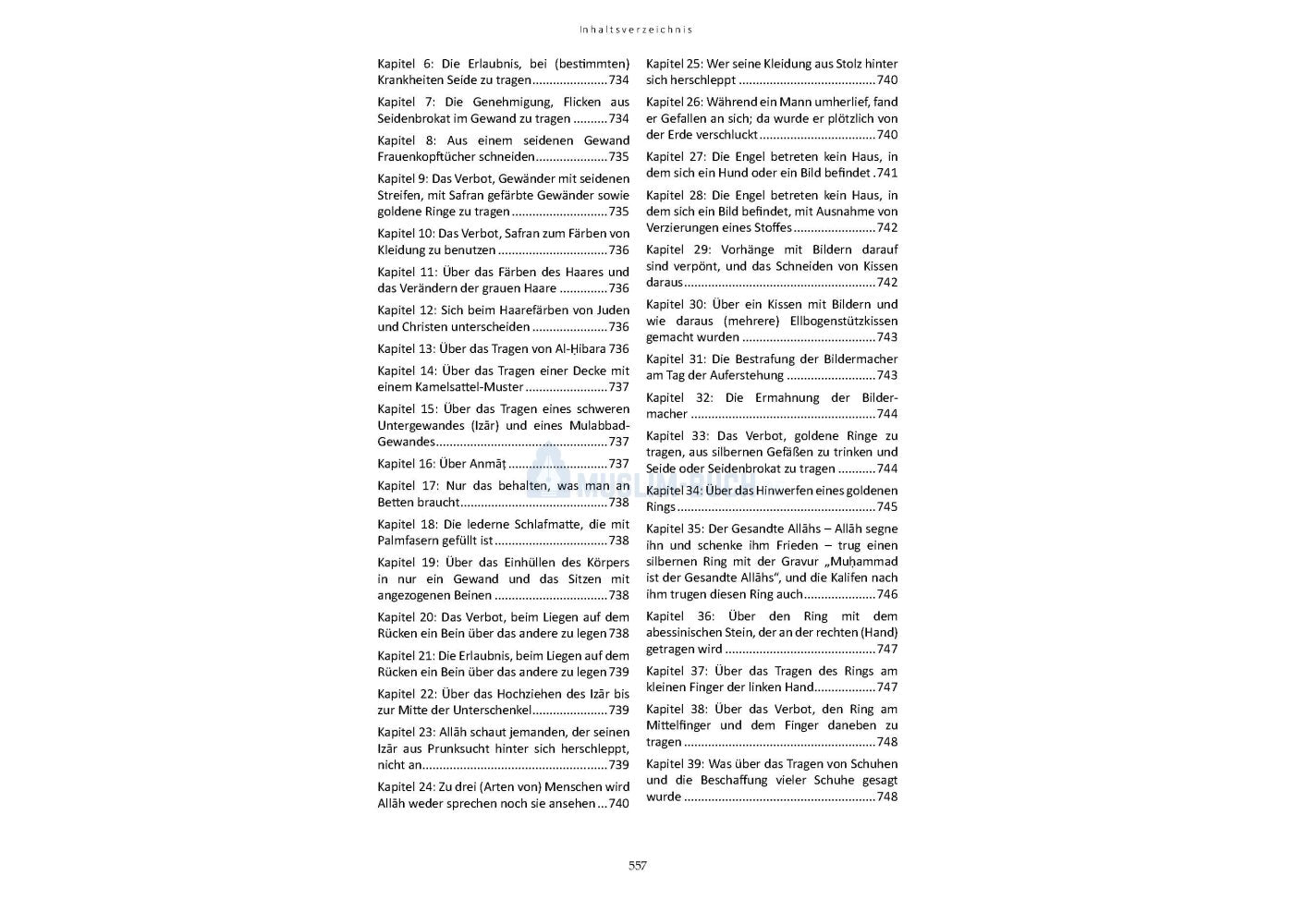 Sahih Muslim - von Imam Al-Hafiz Al-Mundiryy (Band 2)